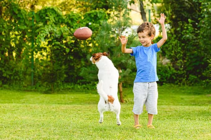 Are Mosquito Sprays Safe for Kids, Pets, and Landscaping?