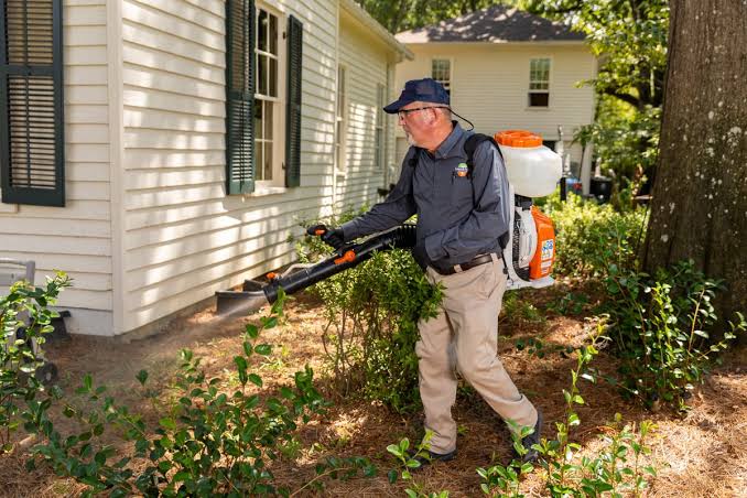 How Mosquito Spray Treatment Is Applied Around a Home