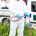 How Much Does Mosquito Control Cost for a Home