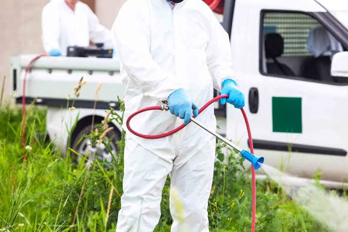 How Much Does Mosquito Control Cost for a Home?