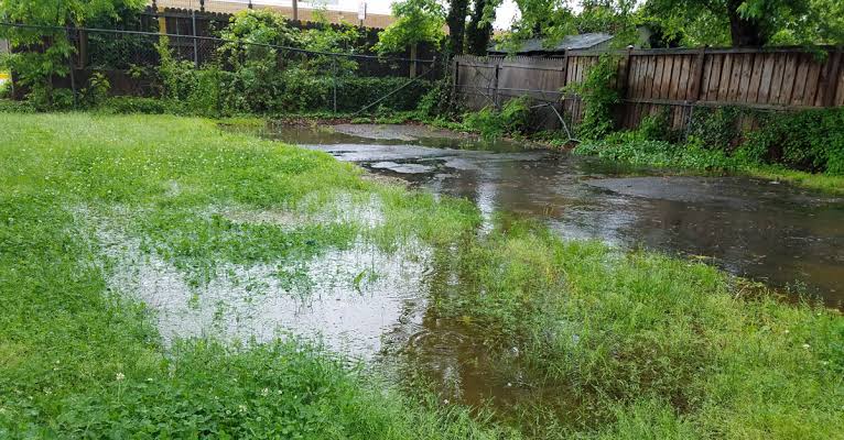 How to Get Rid of Standing Water Around Your Property