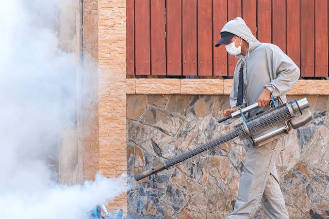 Mosquito Breeding Sites and Prevention — The Complete Guide