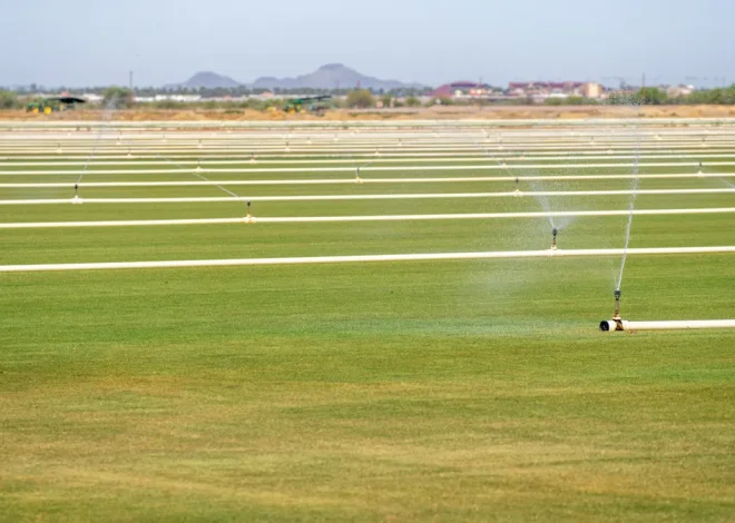 Mosquito Control for Large Lots: Coverage That Holds Up