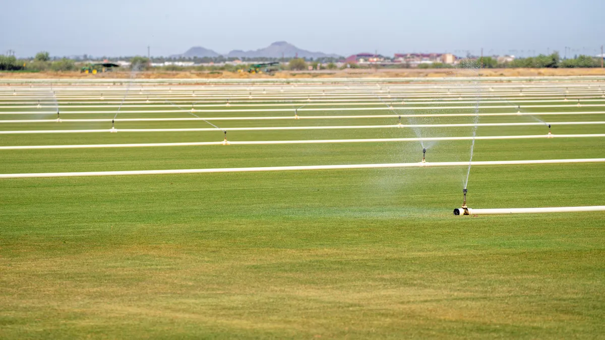 Mosquito Control for Large Lots: Coverage That Holds Up