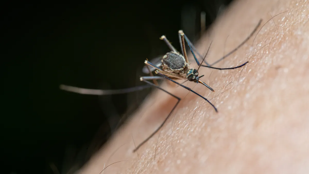 Mosquito Control for New Construction Yards