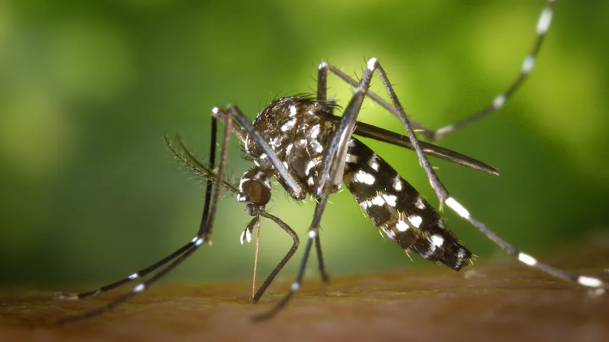 Mosquito Control for Rental Properties
