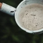cup with standing water and debris