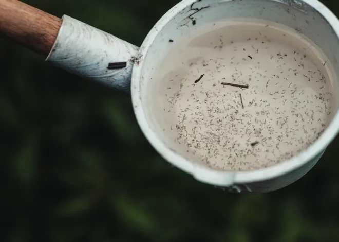 Mosquito Control for Small Yards