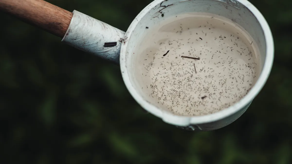 Mosquito Control for Small Yards