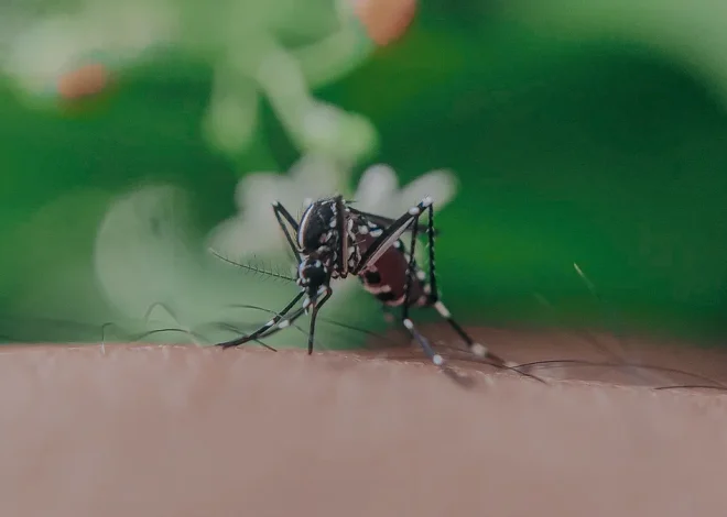 Mosquito Control Service Areas and Property Types