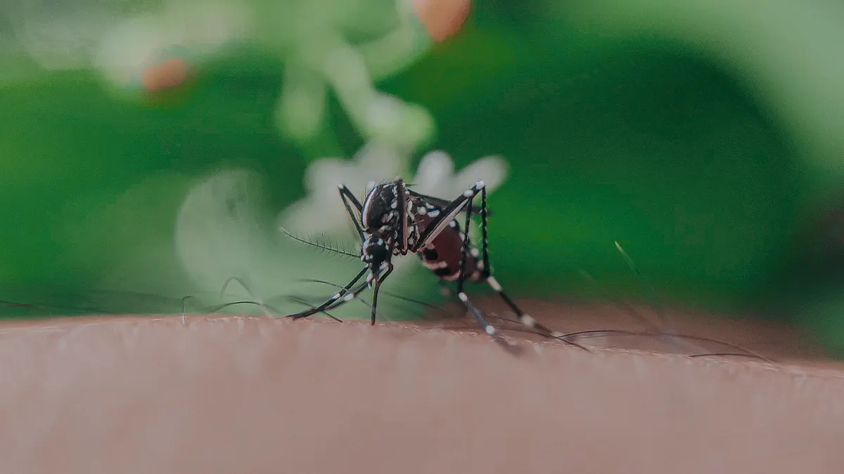 Mosquito Control Service Areas and Property Types